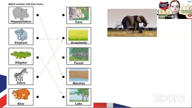 Summer Time від STUDY Academy Star Kids 15.07 смотреть онлайн