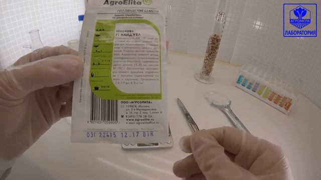 Морковь Найджел. АгроЭлита