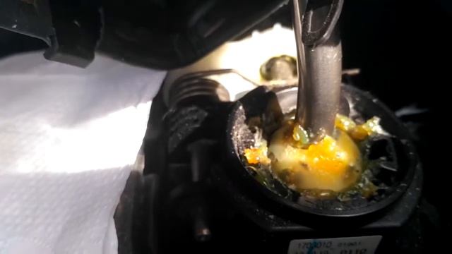 Диана Ключникова