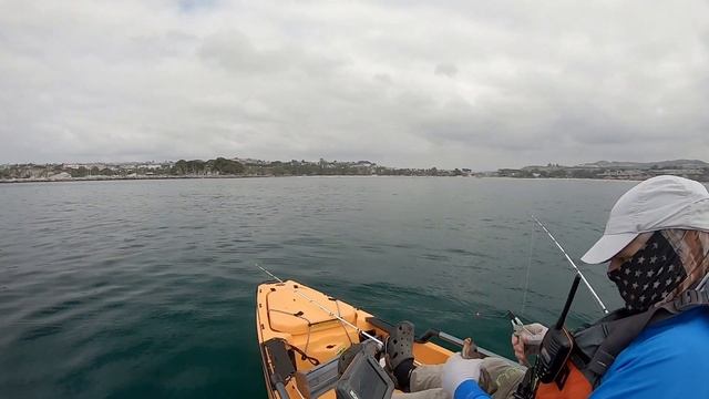Weird Reef Critters, Not The Usual Suspects | Kayak Fishing Dana Point смотреть онлайн
