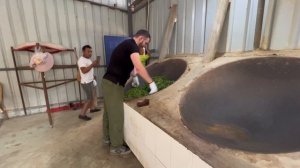 Как делают шен пуэр | ручное производство зелёного пуэра | китайский пуэр | шен пуер