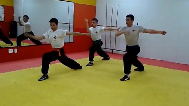 TSKF - Forma Sincronizada de Tan Tui - By - Eduardo, Lucas e William смотреть онлайн