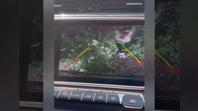 #meme #memes смотреть онлайн