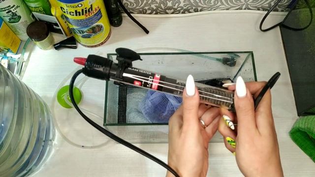 Нерест Тернеции GLOFISH ( Собираем нерестовик)