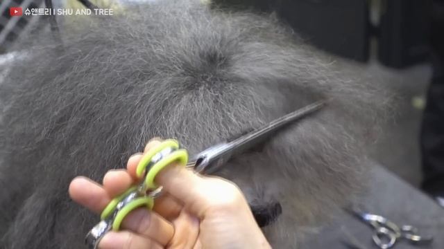 엄마, 아빠가 못 알아봄. (너무 예뻐져서) смотреть онлайн