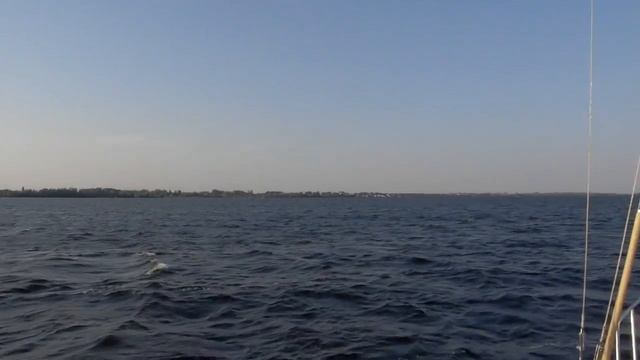 Днепр в районе Беленького