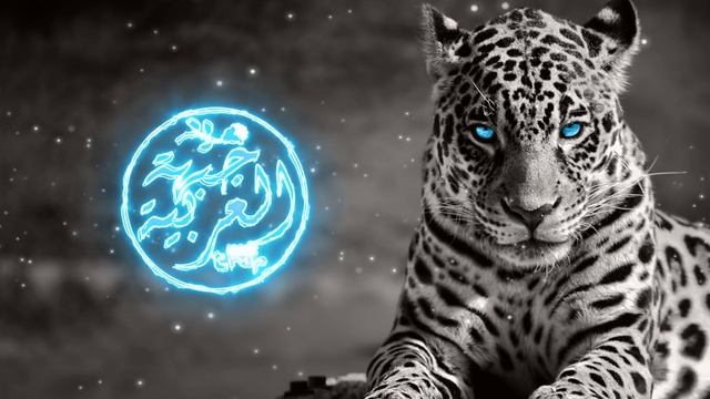 NoXuu - Sultan VIP смотреть онлайн