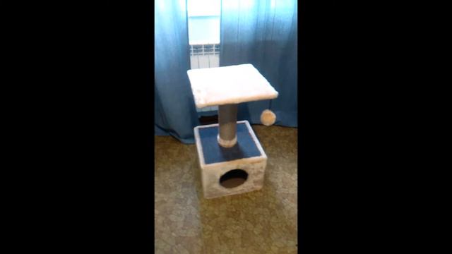 Новое видео Большой