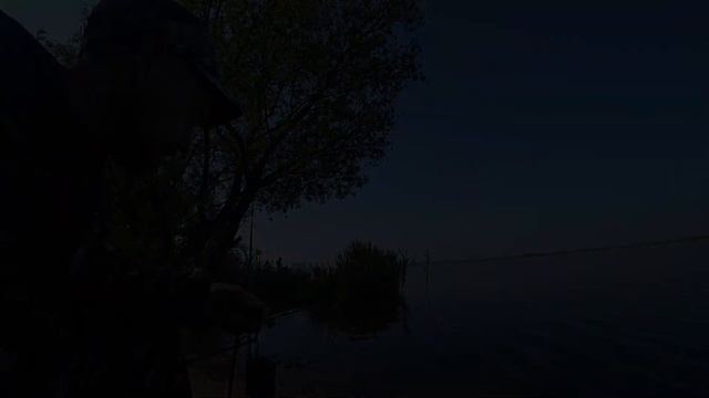 "Теляпия на фидер" (сумасшедший клев!!!), 18.05.2023, Нововоронежское водохранилище. смотреть онлайн