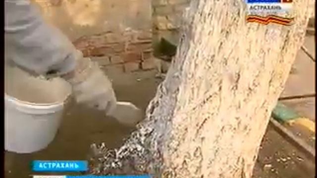 Все своими руками  Жители многоэтажки наводят красоту в собственном дворе