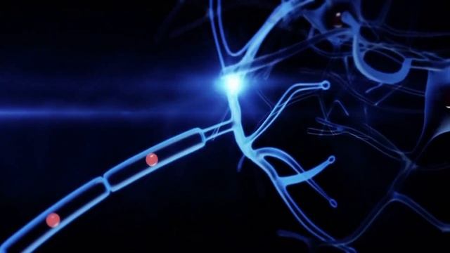 Как устроена ПАМЯТЬ в твоей ГОЛОВЕ смотреть онлайн