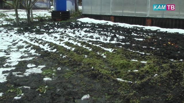 Социальный контракт (теплица)