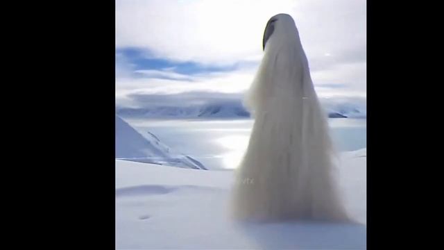 Мем из 2027 года ОРИГИНАЛ