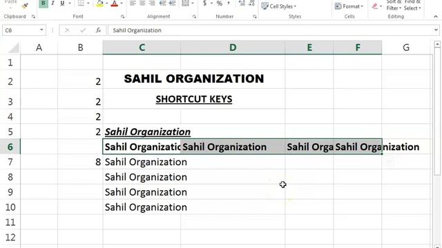 Adv Excel Lecture 8 Short Cut Keys Half (Teacher 2) By SAHIL Social Service (SSS) Division смотреть онлайн