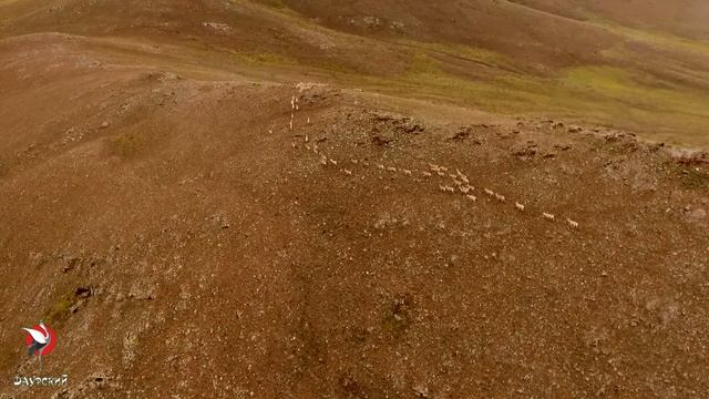 Миграция на север смотреть онлайн