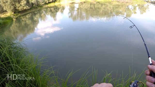 Ловлю окуней на каждом забросе. Микроджиг. смотреть онлайн