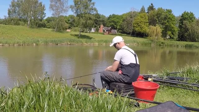 MATCH FISHING LIVE - Can I WIN at the GLEBE? смотреть онлайн