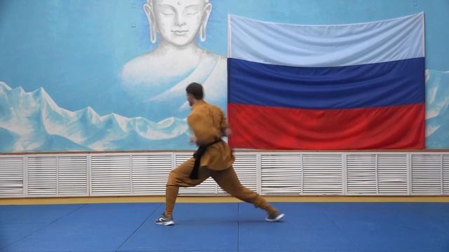 Shaolin Kung Fu Online Games Выступление инструктора Евгения Ветчинина, Tong bei Quan смотреть онлайн