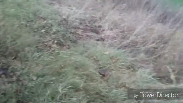 Лада Гранта Лифтбек - допы смотреть онлайн
