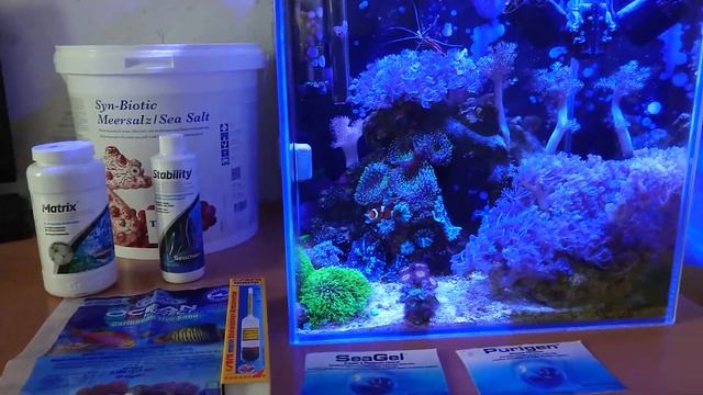 Мой Морской аквариум: с чего начать, комплектация, содержание. смотреть онлайн