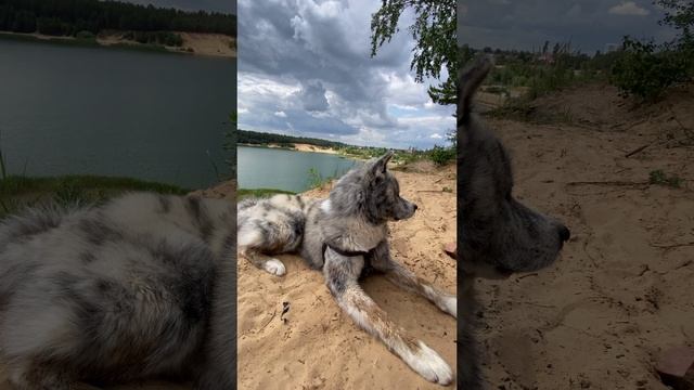 Отдыхаем смотреть онлайн