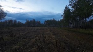 Добыл супер трофей, такого у меня еще не было!!! Охота на сибирскую косулю с манком