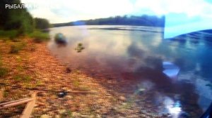 УНИВЕРСАЛЬНЫЕ Поляризационные очки с AliExpress для РЫБАЛКИ,вождения,отдыха. 6 СМЕННЫХ ЛИНЗ. Обзор