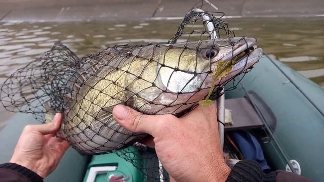 Ловля Судака на джиг с лодки осенью...Судак осенью в ноябре смотреть онлайн