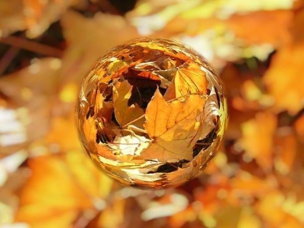 Доброе осеннее утро — тёплые пожелания и красивые открытки 🍂☀️