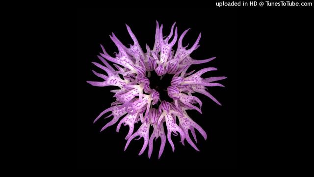 +[FREE]+ *NO MELODY* NASCAR ALOE X AFOURTEEN TYPE BEAT - "FLOWER" +[prod. Michael Link]+ смотреть онлайн