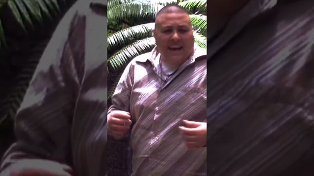 Ketchy Perla Bachata Mix смотреть онлайн