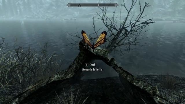 skyrim is immersive смотреть онлайн