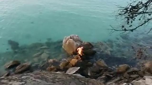 Kalmatron Vs Kavourotripes