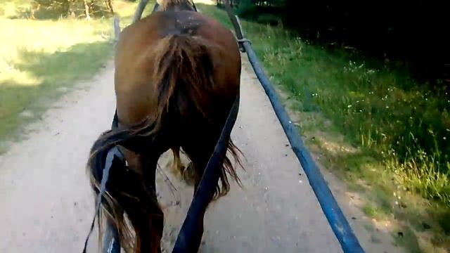 (72) Все о косилке на конной тяге. Летим на испытание 5. смотреть онлайн