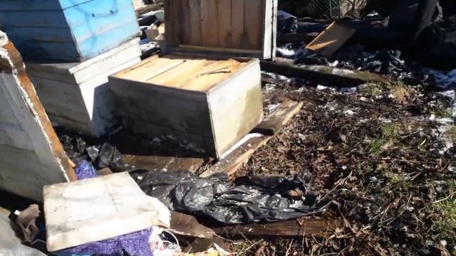 Продам улики БУ Дадан недорого смотреть онлайн