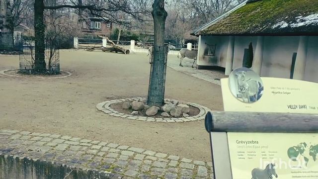 Berlin Zoologischer Garten смотреть онлайн