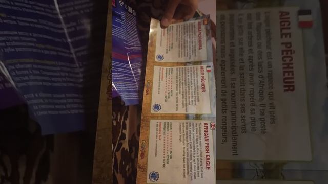 Обзор на морских чудовищ (Big Animal World) и повелителей саванны (Sbabam) смотреть онлайн