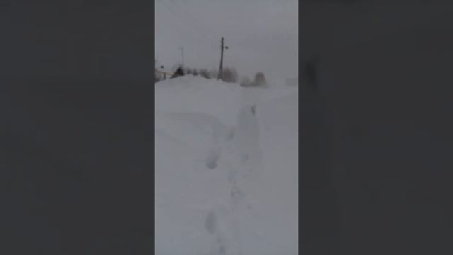 Привет из Дорогино продолжение смотреть онлайн