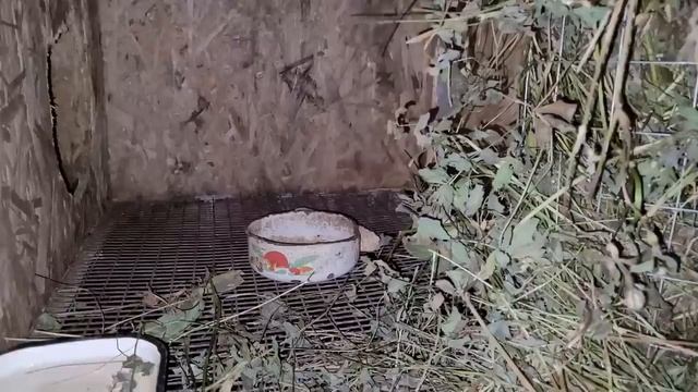 Наша жизнь в селе \ Приехал папа в гости \ Продаём хозяйство \ Отмечаем День Рождения смотреть онлайн