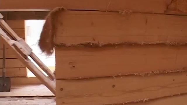 Почему лучше всего строить дом из дерева? смотреть онлайн