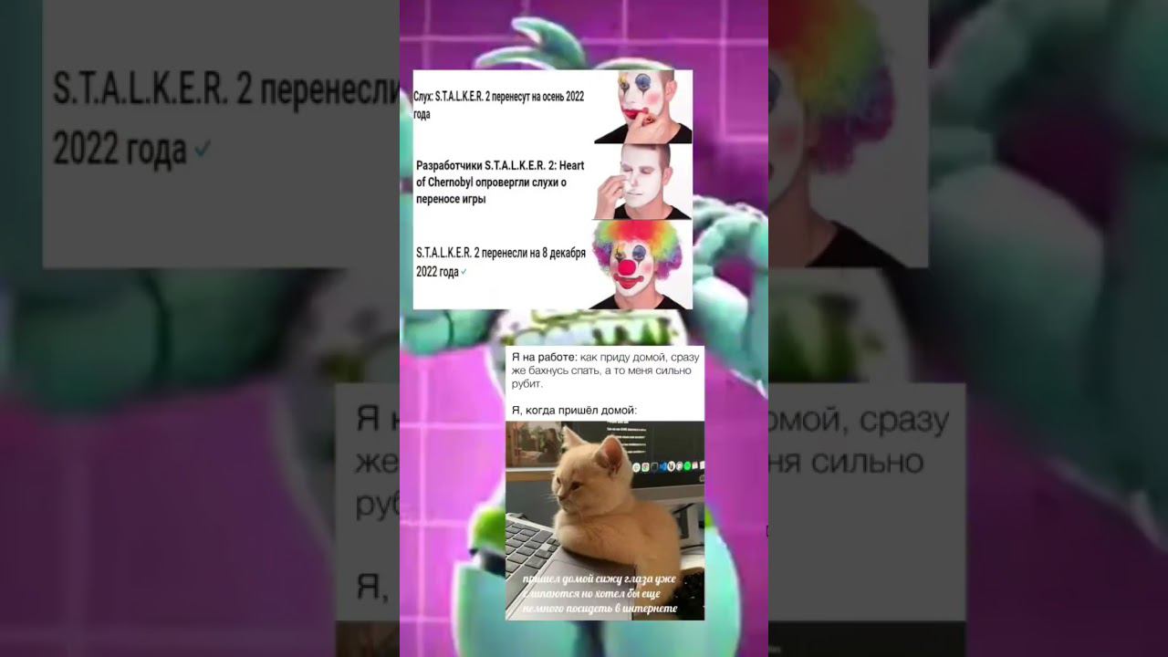 сталкер #мем