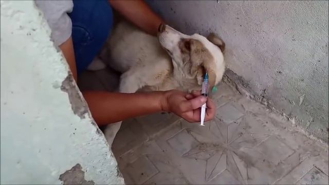 Ронколейкин сделала Чернышу и Марте