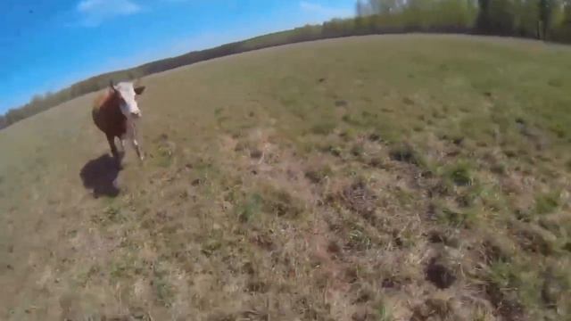 16 июня 2022 г. смотреть онлайн