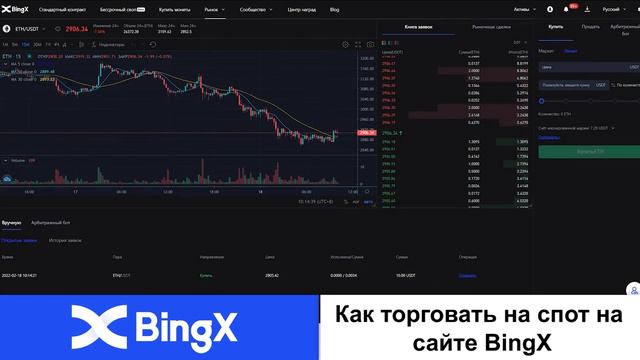 Спот торговля на BingX смотреть онлайн