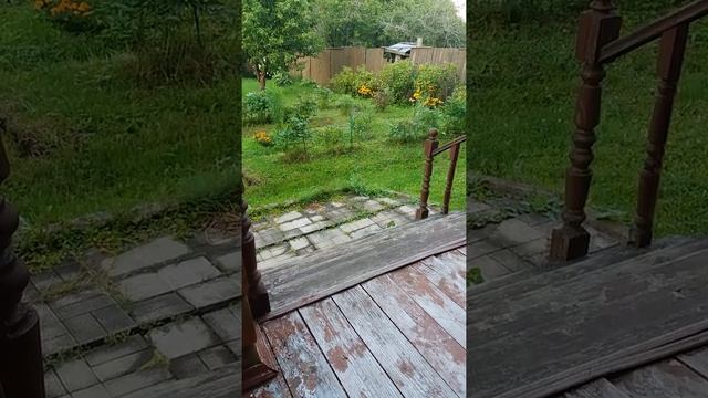 Дача вечер смотреть онлайн