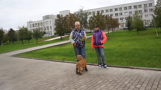 День Города . Москва 2013 смотреть онлайн