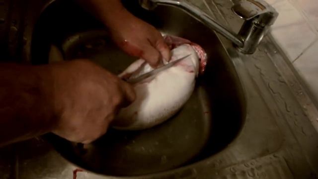 Чистка Разделка рыбы Судак смотреть онлайн