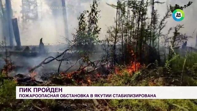 Мир24 26 августа 2023 Пожароопасную обстановку в Якутии и Хабаровском крае стабилизировали смотреть онлайн