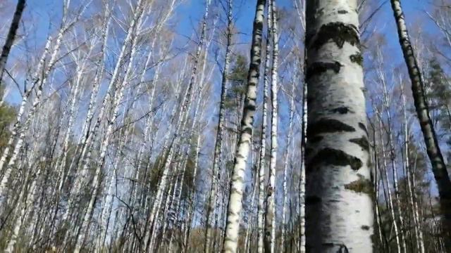 пьем весной элексир молодости смотреть онлайн