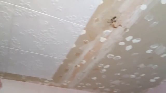 Как клеить плитку на потолок смотреть онлайн